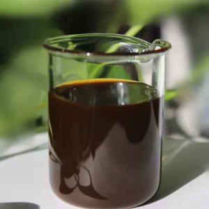 Soy Lecithin Liquid (LeciOIL600)