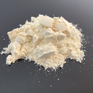 가수분해 대두 레시틴(GMO)