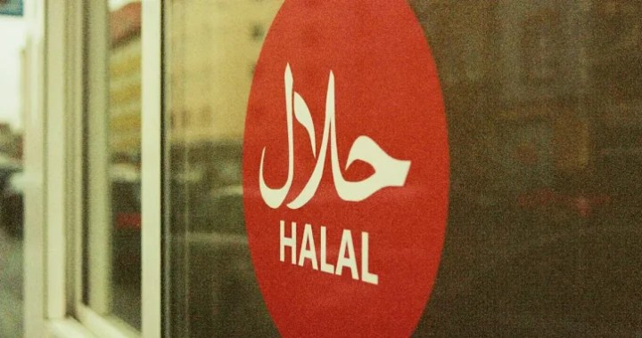soy lecithin is halal