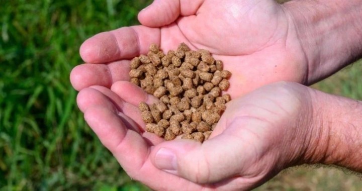 Soy Lecithin in Animal Feed