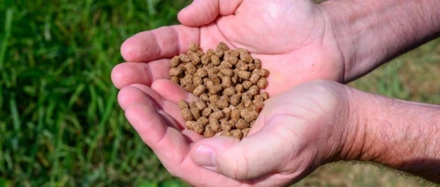 Soy Lecithin in Animal Feed
