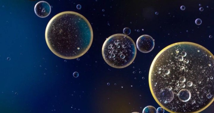 Hydrolyzed Soy Lecithin