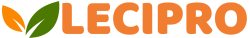 new logo