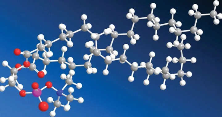 Phospholipids vs Lecithin