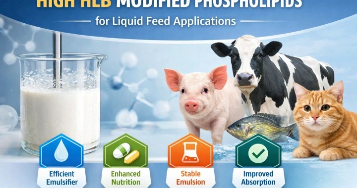 High HLB Modified Phospholipids for Liquid Feed | Emulsifier Supplier