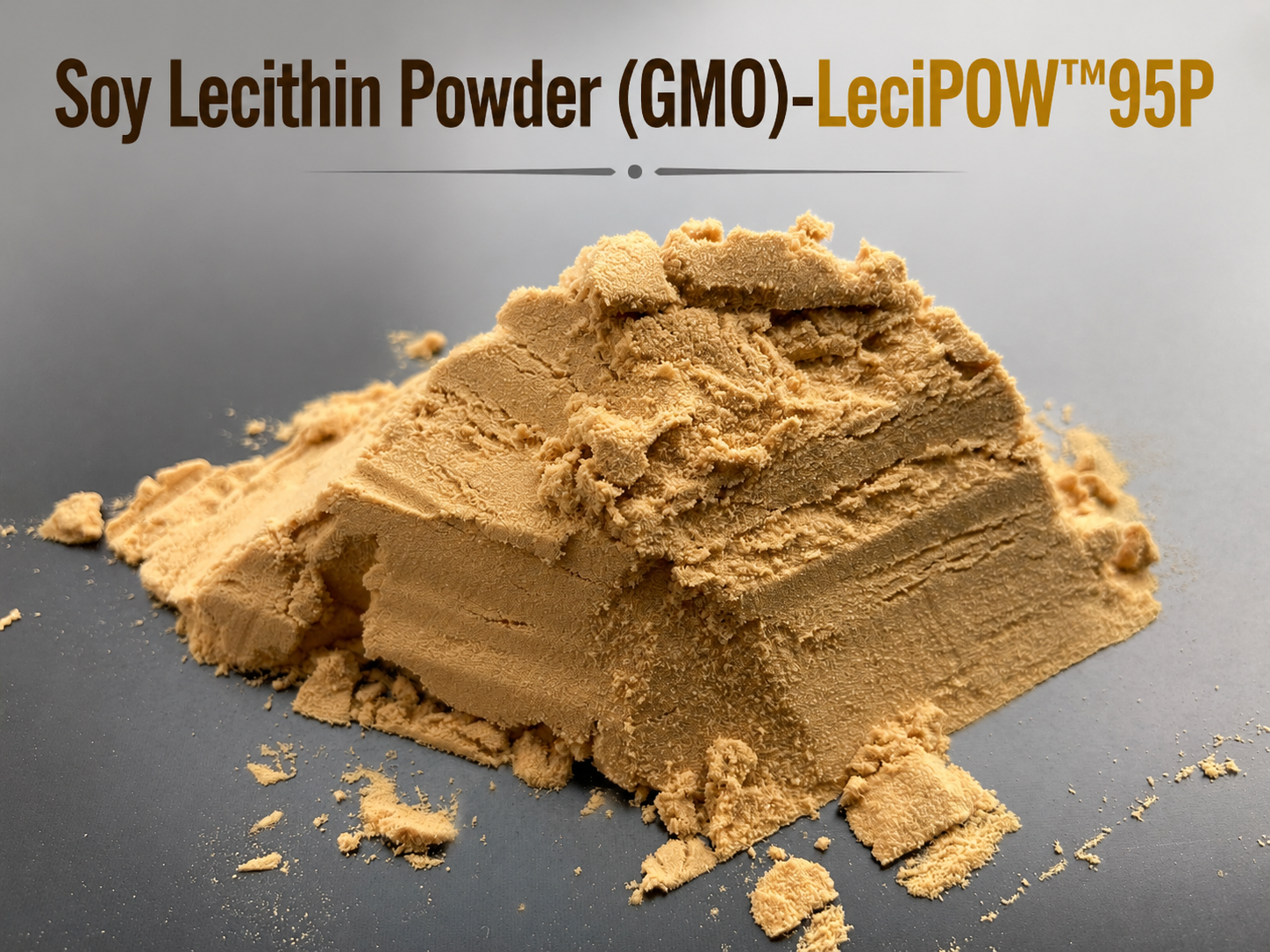 Soya Lesitini Tozu (LeciPOW™95P)